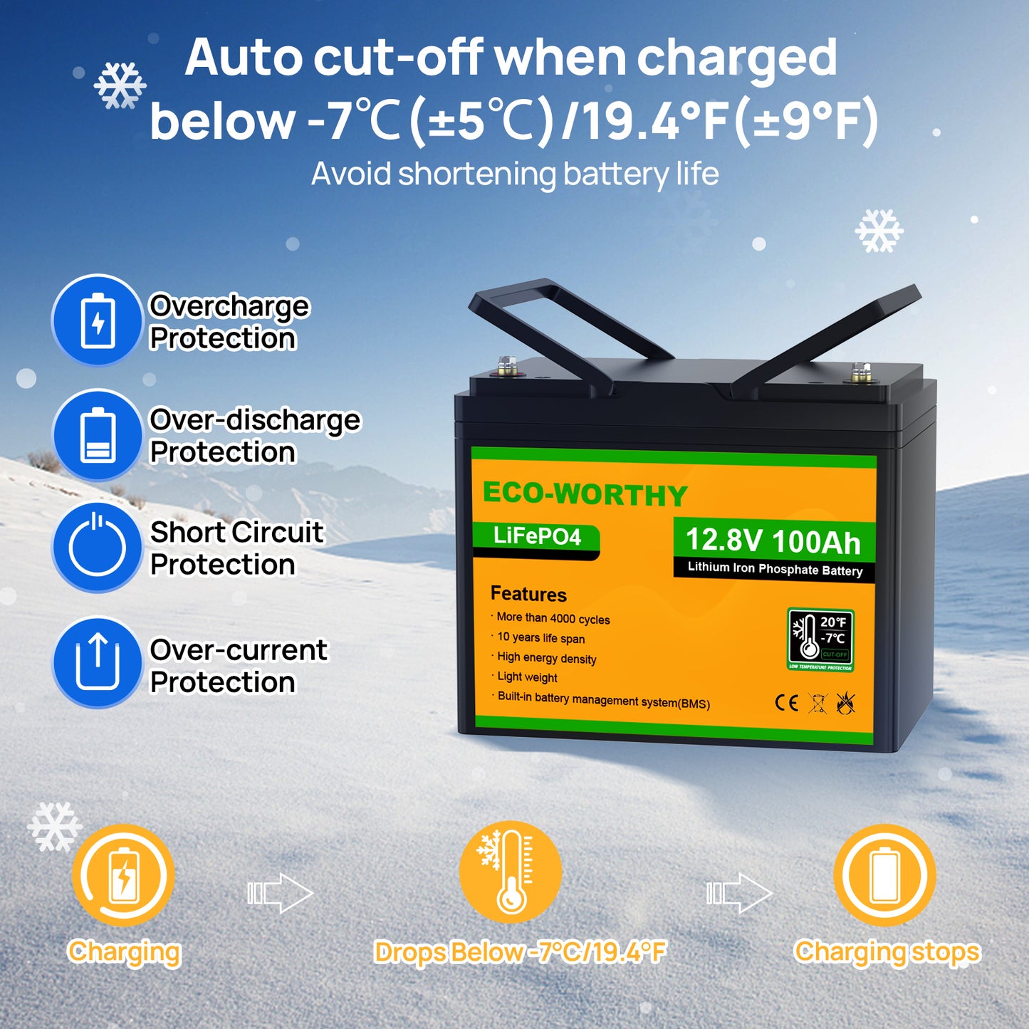 LiFePO4 12V 100Ah Lithium Iron Phosphate Battery With Low Temperature Protection